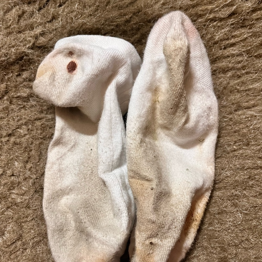 SOCK - Picture 3 of 15